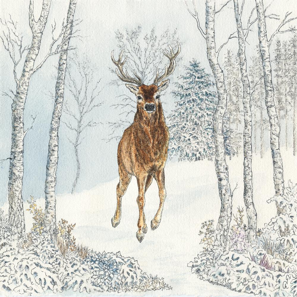 LUNCH- CERF HIVER