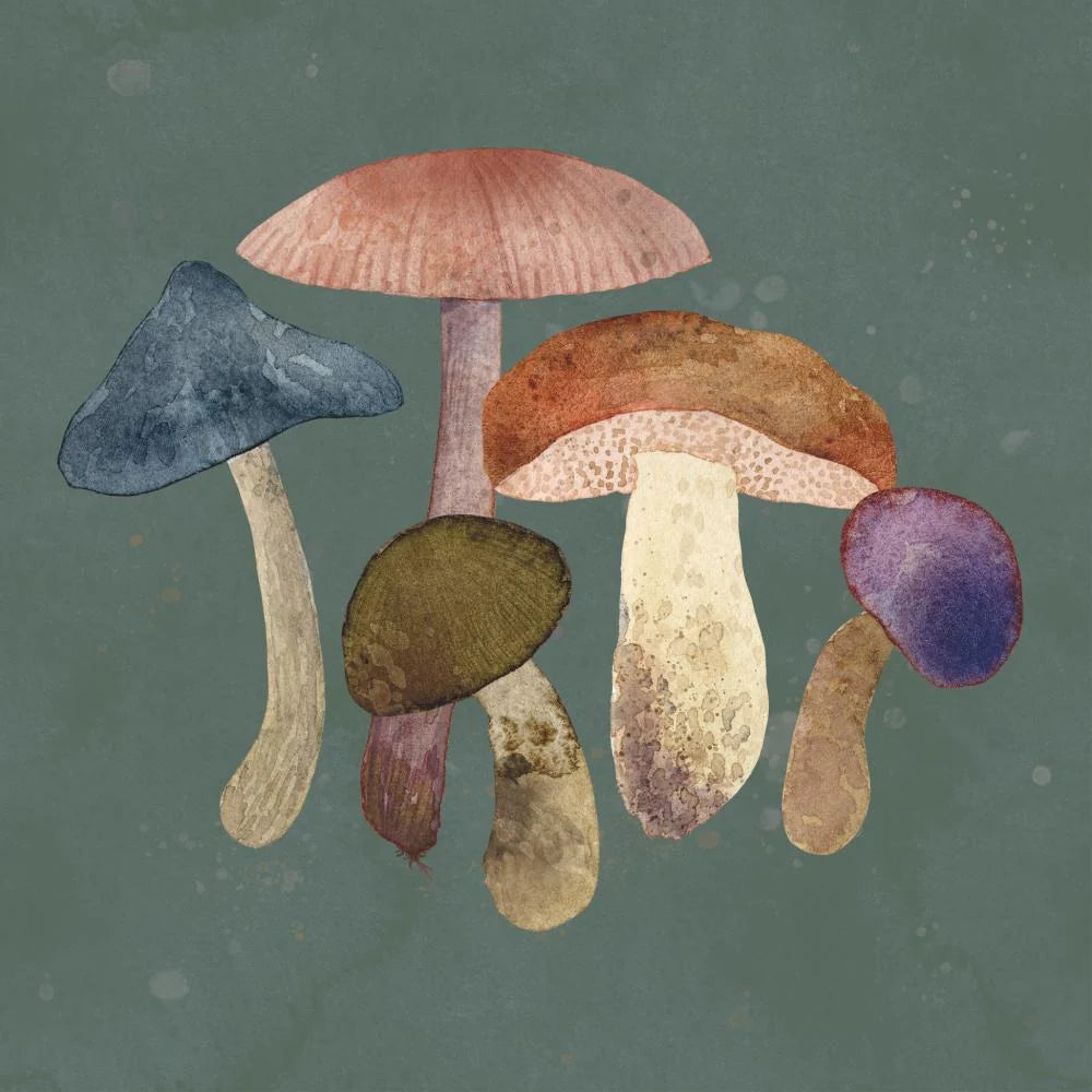 LUNCH- MUSHROOM FANTASY