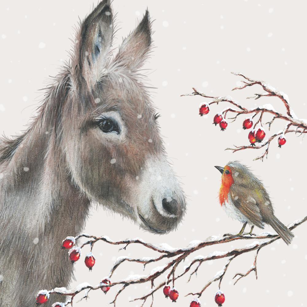 LUNCH- DONKEY & ROBIN