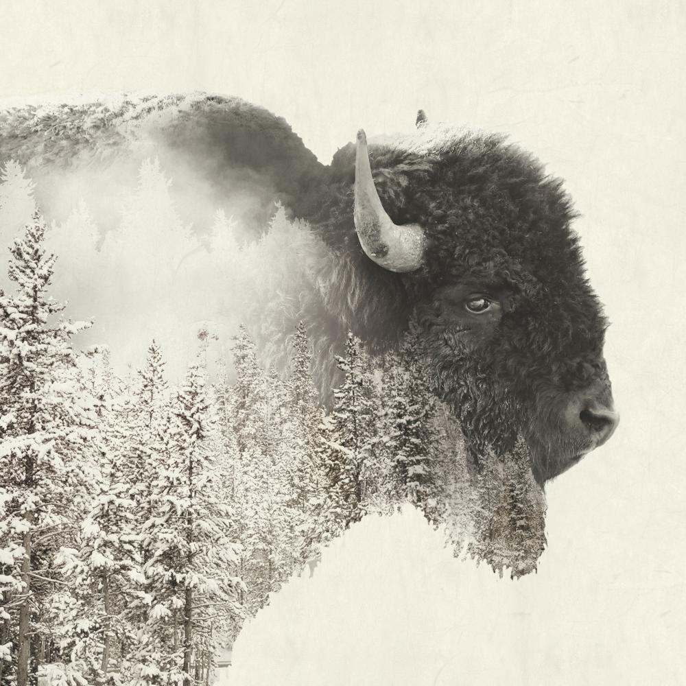 LUNCH- MAJESTIC BUFFALO