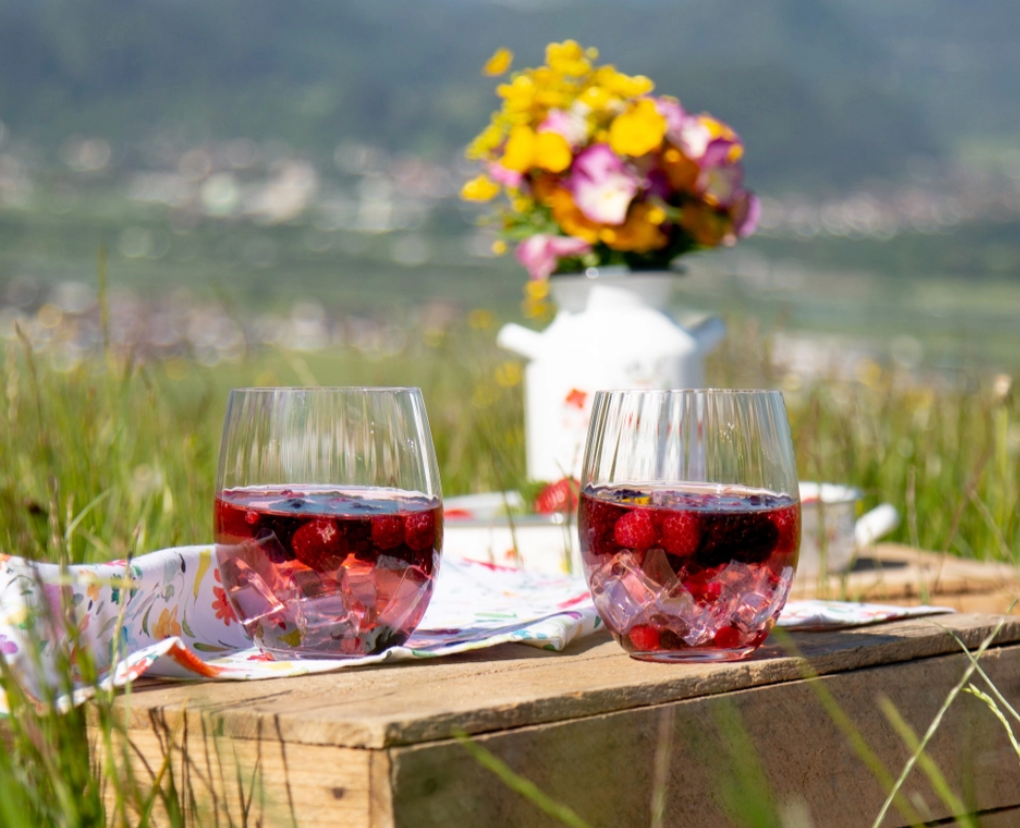 Riedel | Mixing Tonic Set