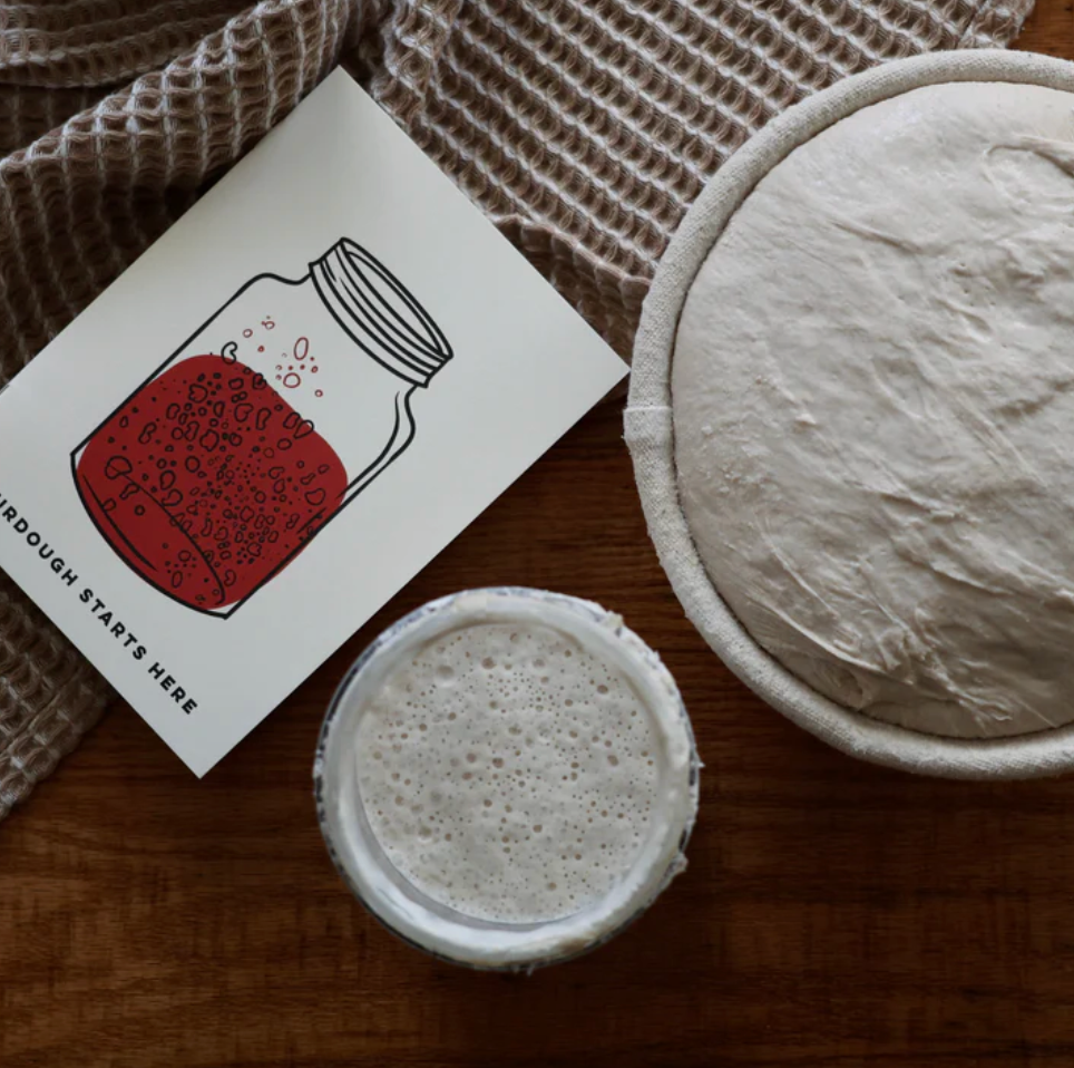 Sourdough Starter