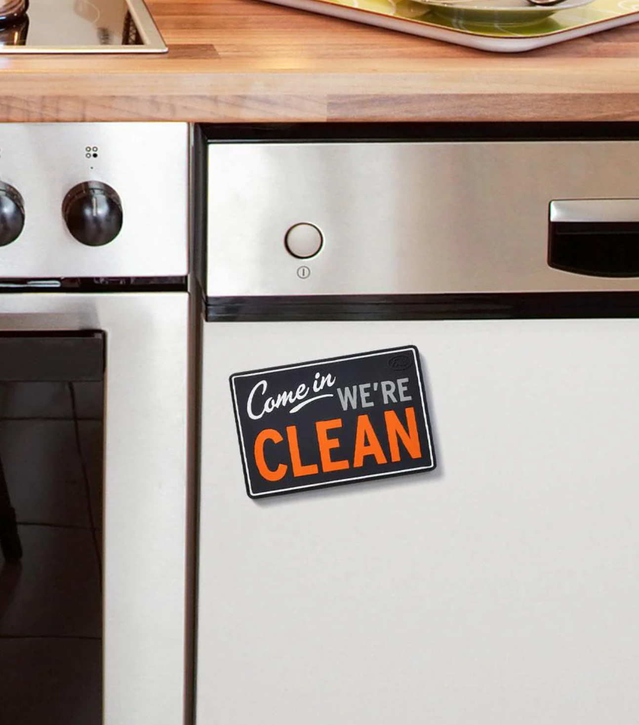 Flipside Dishwasher Magnet