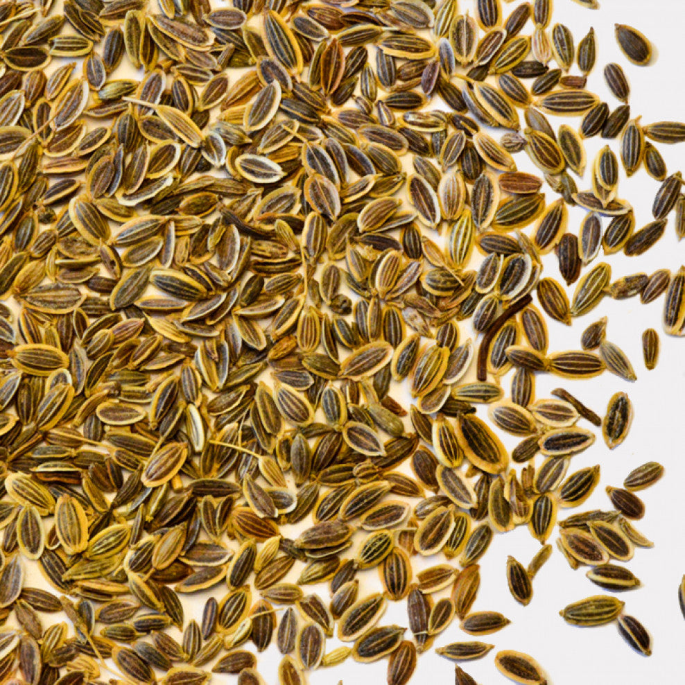 Whole Spice Company | Dill Seeds