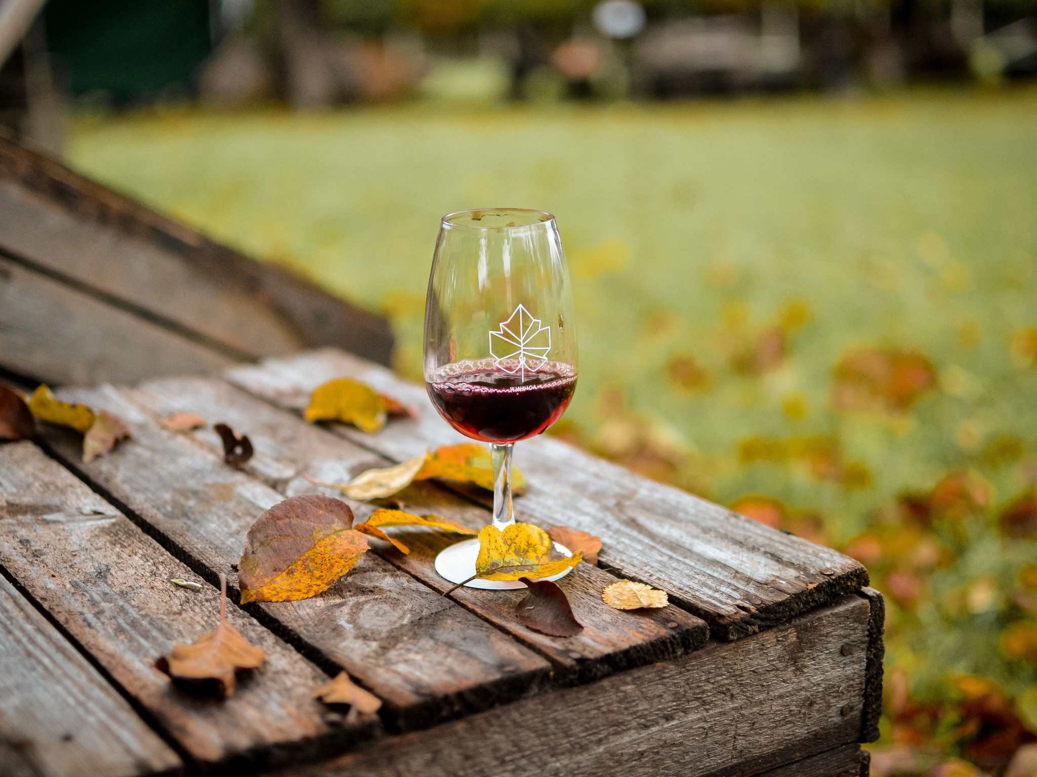 Fall in Love with Fall Wines <br> September 25th