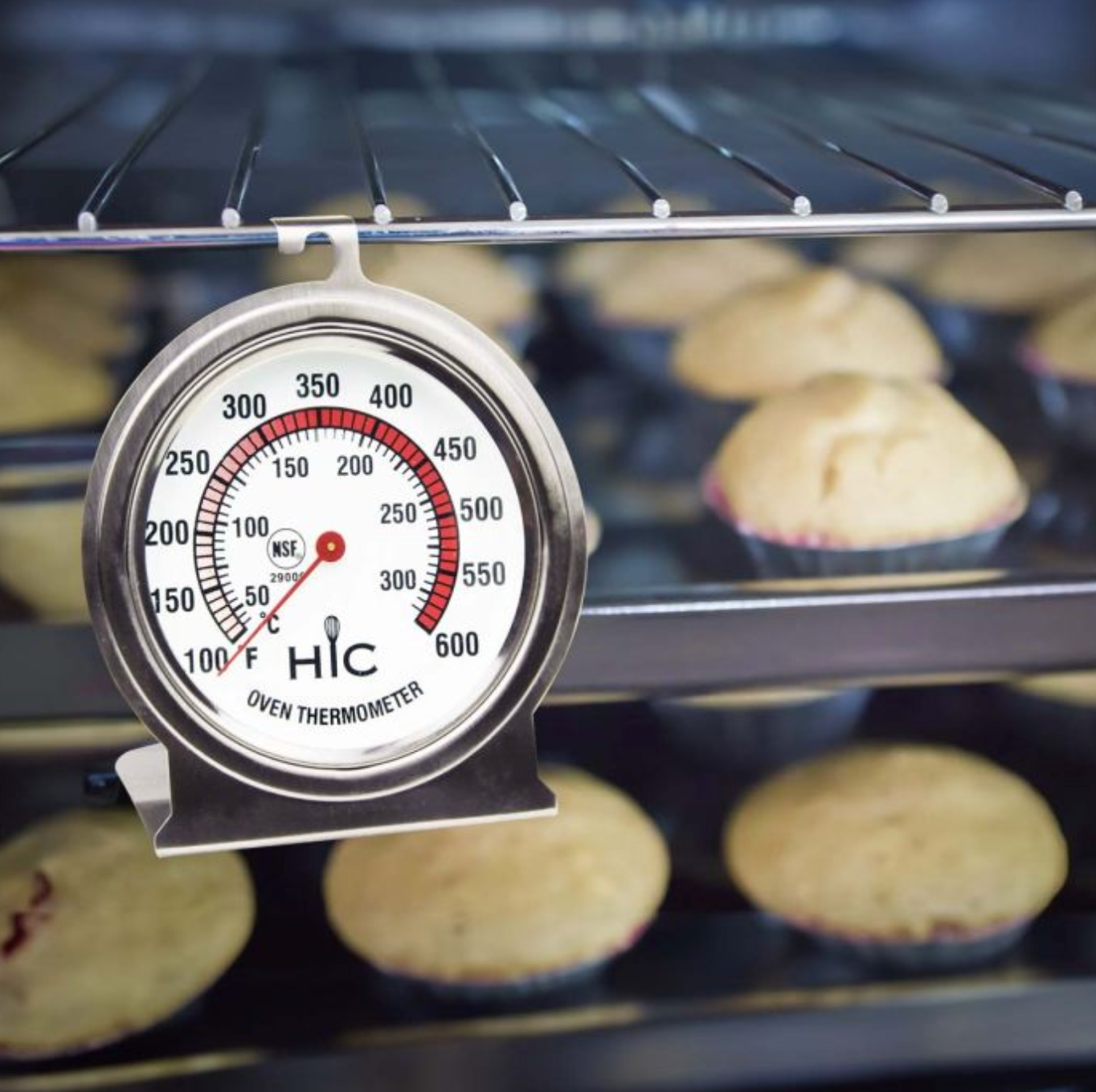 Oven Thermometer