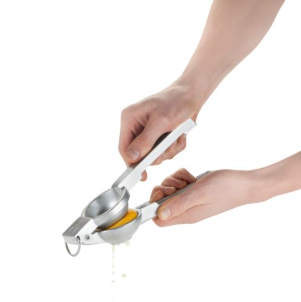 Professional Citrus Juicer