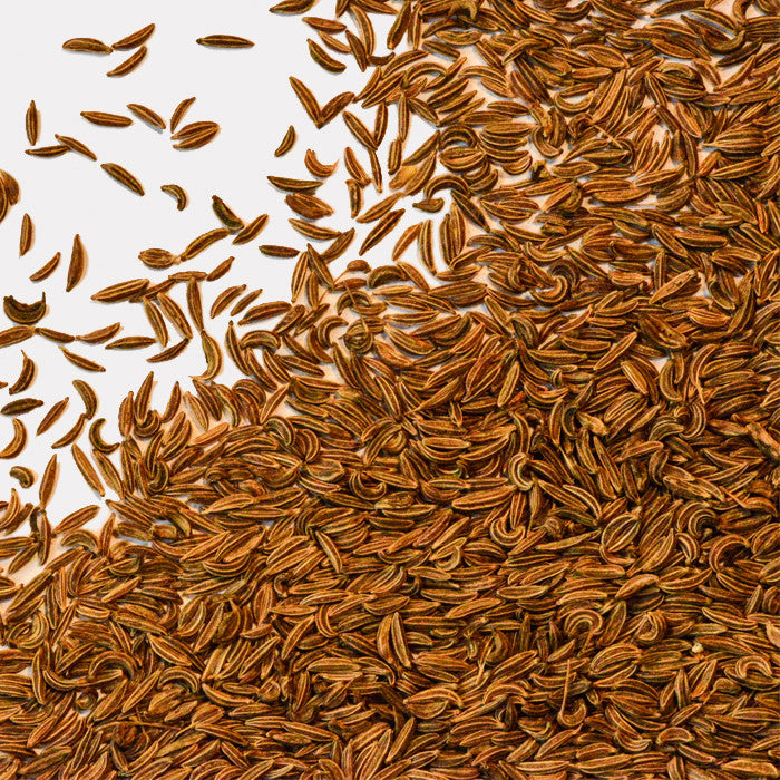 Whole Spice Company | Caraway Seeds
