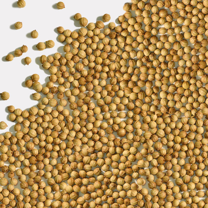 Whole Spice Company | Coriander Seeds