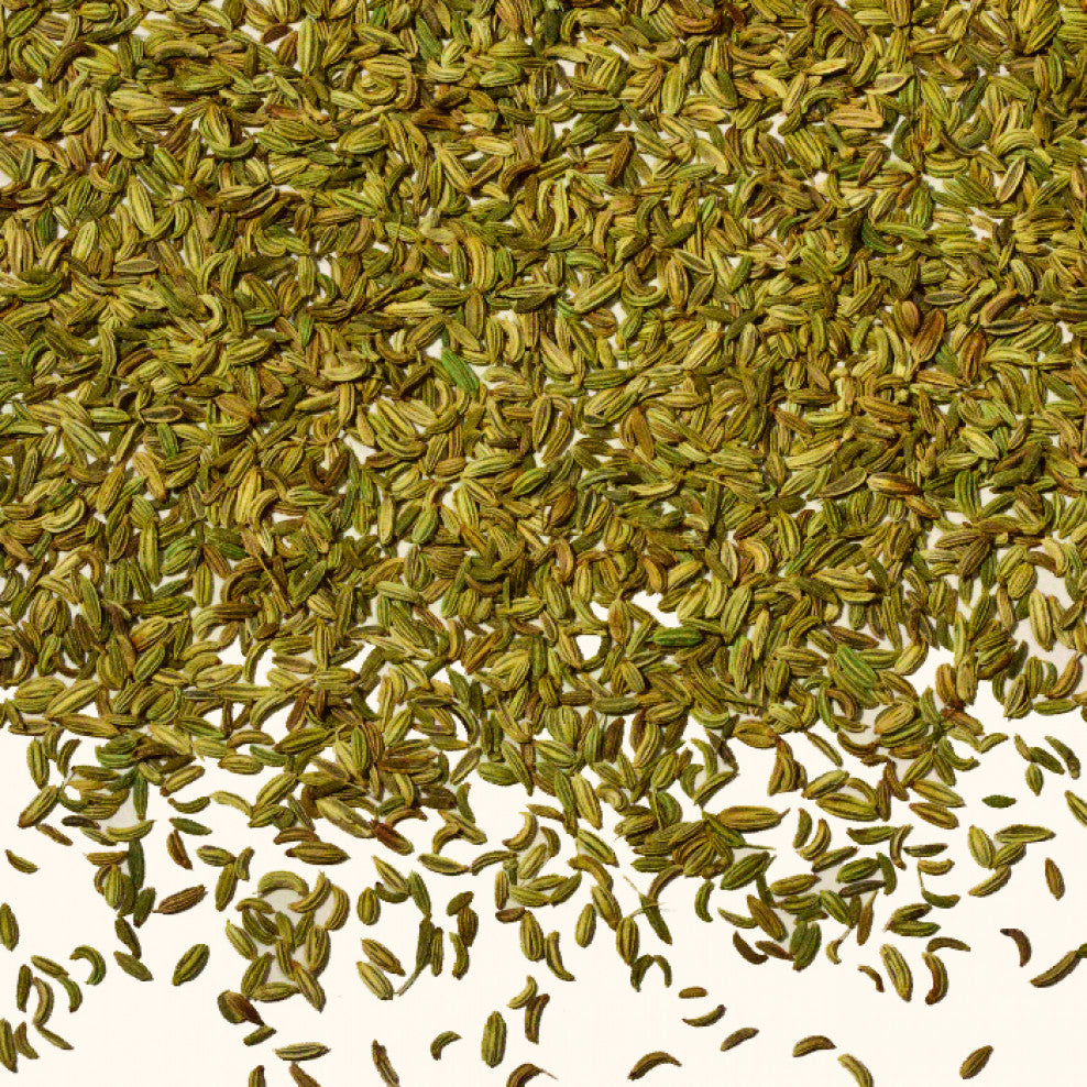 Whole Spice Company | Fennel Seed